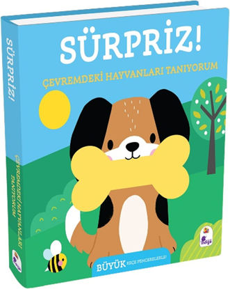 Sürpriz! - Çevremdeki Hayvanları Tanıyorum resmi