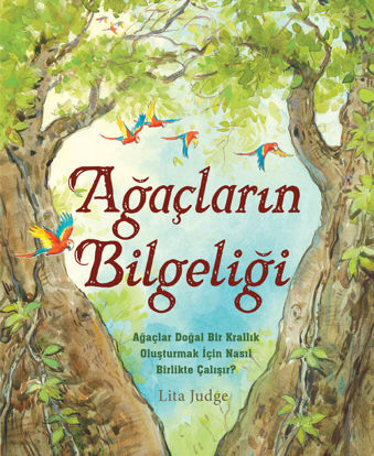 Ağaçların Bilgeliği resmi