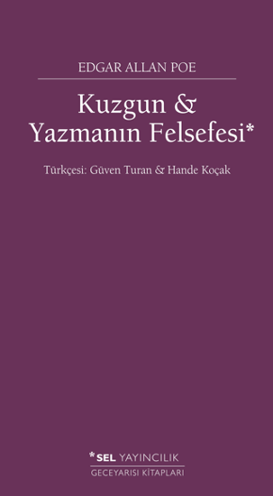 Kuzgun ve Yazmanın Felsefesi resmi