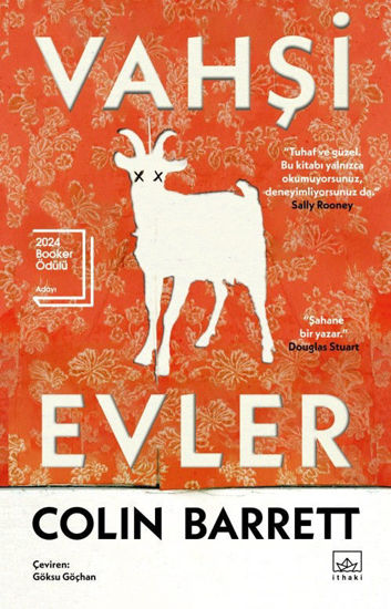 Vahşi Evler resmi
