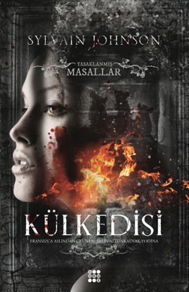Külkedisi resmi
