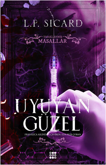Uyuyan Güzel resmi