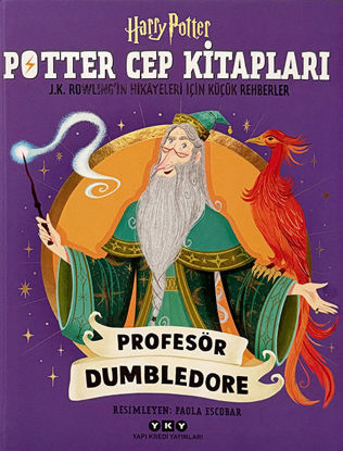 Potter Cep Kitapları - Profesör Dumbledore - Ciltli resmi
