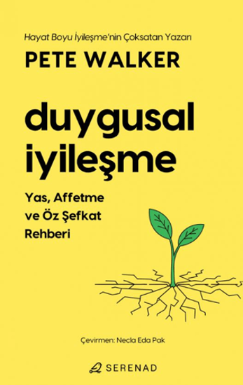 Duygusal İyileşme resmi
