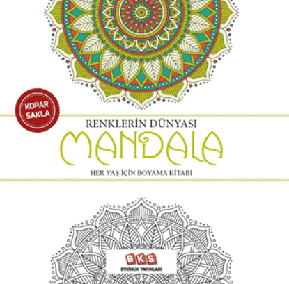 Renklerin Dünyası - Mandala resmi