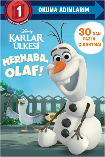 Karlar Ülkesi - Merhaba Olaf! resmi