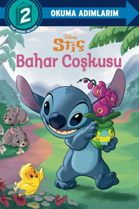 Stiç - Bahar Coşkusu resmi