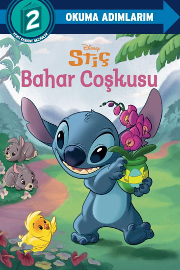 Stiç - Bahar Coşkusu resmi