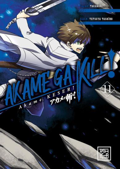 Akame, Keser! - 11. Cilt resmi