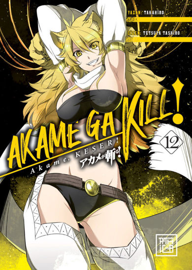 Akame, Keser! - 12. Cilt resmi