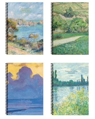 Sanat 16,5x22,5 100 Yaprak Çizgisiz  Spiralli Sert Kapak Defter resmi