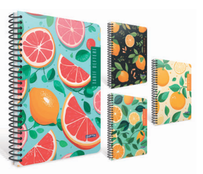 Tairf Defteri Spiralli Sert Kapak Defter 20X28 120 Yaprak resmi