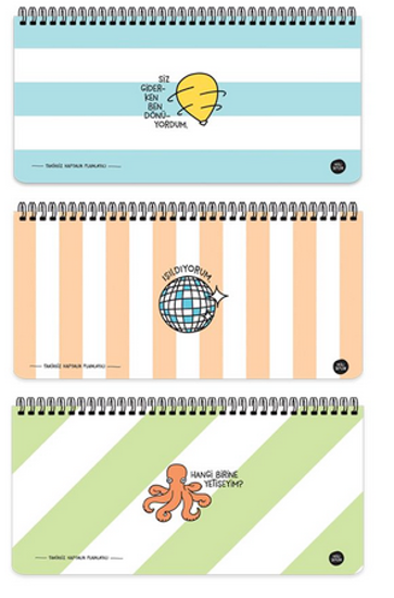 Hisli Şeyler 13x27 Spiralli Stickerli Planner resmi