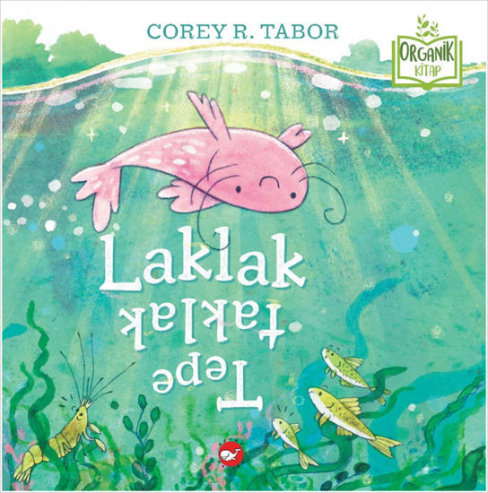 Laklak Tepetaklak - Ciltli resmi