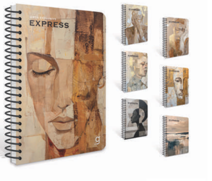Express Spiralli Sert Kapak Defter 17x24 100 Yaprak Çizgili resmi