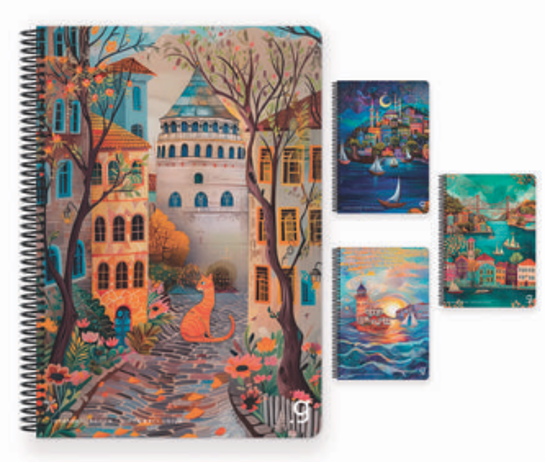 İstanbul Spiralli Sert Kapak Defter 17x24 80 Yaprak Çizgili resmi