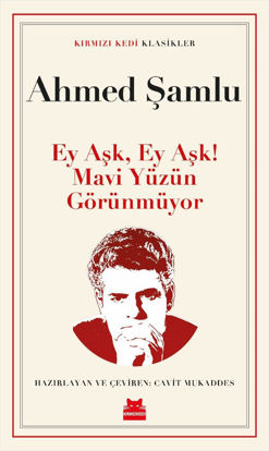 Ey Aşk, Ey Aşk! Mavi Yüzün Görünmüyor resmi