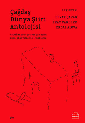 Çağdaş Dünya Şiiri Antolojisi resmi