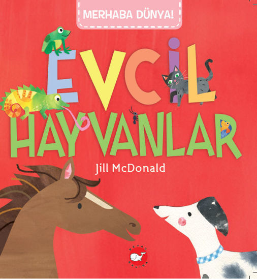 Merhaba Dünya! - Evcil Hayvanlar resmi