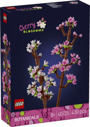 Cherry Blossoms resmi