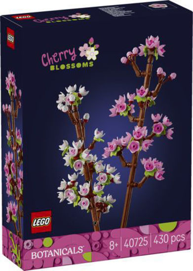 Cherry Blossoms resmi