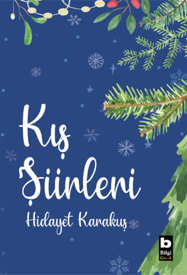 Kış Şiirleri resmi