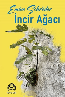 İncir Ağacı resmi