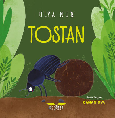 Tostan resmi