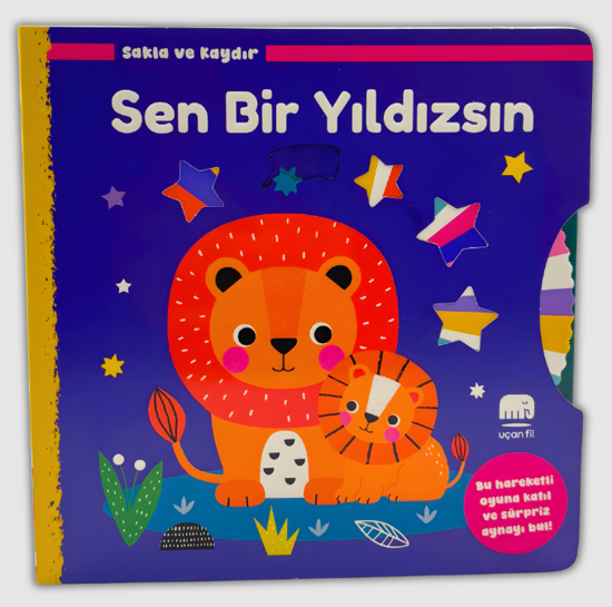 Sakla ve Kaydır - Sen Bir Yıldızsın resmi
