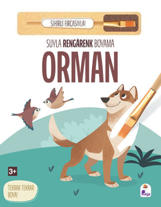 Suyla Rengarenk Boyama - Orman resmi