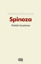 Politik İnceleme - Tractatus Politicus resmi
