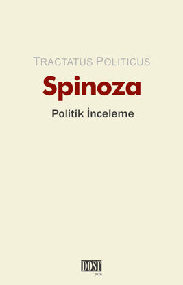 Politik İnceleme resmi
