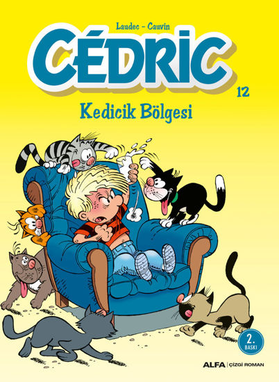 Cedric 12 - Kedicik Bölgesi resmi