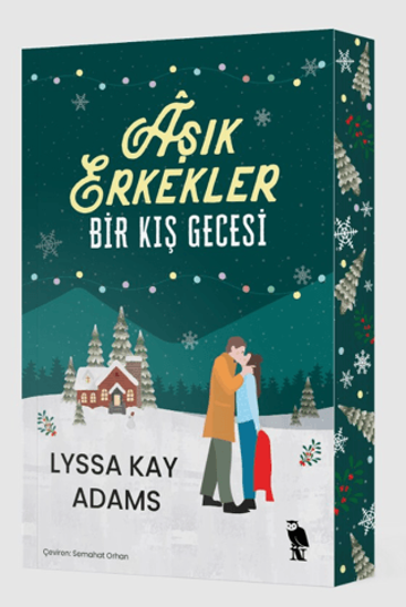 Aşık Erkekler Bir Kış Gecesi resmi
