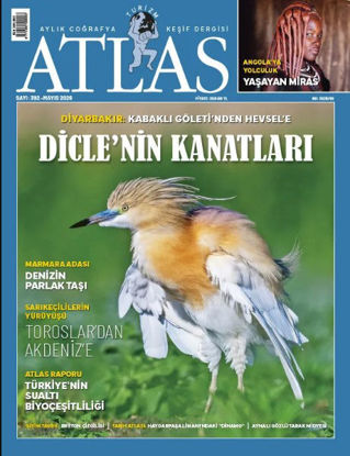 Atlas-Mayıs-2026 resmi