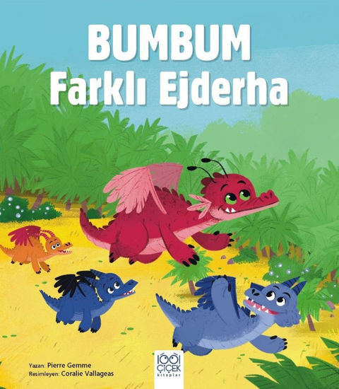 Bumbum Farklı Ejderha resmi