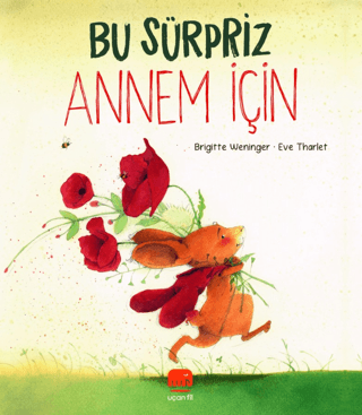 Bu Sürpriz Annem İçin resmi