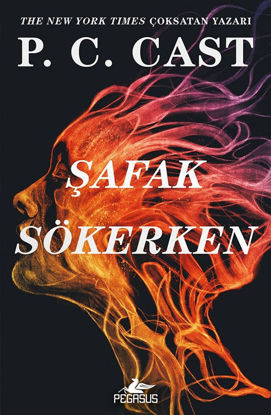 Şafak Sökerken resmi