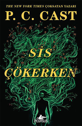 Sis Çökerken resmi