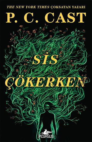 Sis Çökerken resmi