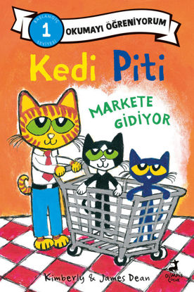 Kedi Piti Markete Gidiyor resmi