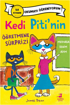 Kedi Piti’nin Öğretmene Sürprizi resmi