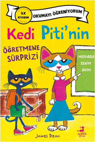 Kedi Piti’nin Öğretmene Sürprizi resmi
