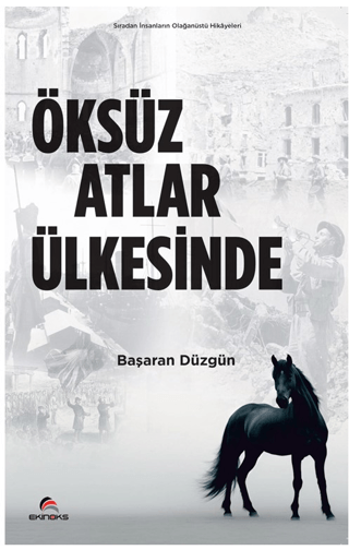 Öksüz Atlar Ülkesinde resmi