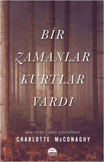 Bir Zamanlar Kurtlar Vardı resmi