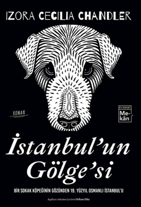 İstanbul'un Gölge'si resmi