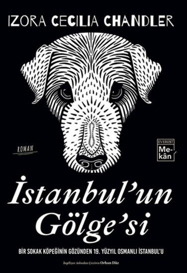 İstanbul'un Gölge'si resmi