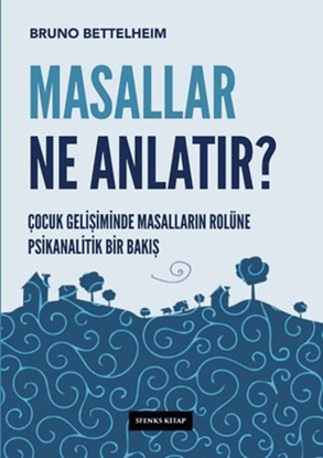 Masallar Ne Anlatır? resmi