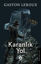 Karanlık Yol resmi