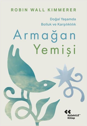 Armağan Yemişi resmi